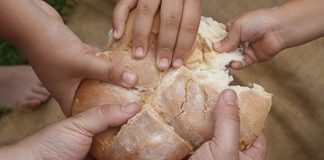 Imatge que representa la partició d'un pa
